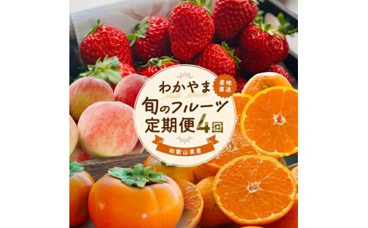 わかやま 旬の フルーツ 定期便【S】 全4回 / 有田みかん まりひめ いちご 桃 柿 ※北海道・沖縄・離島への配送不可【AA-ard-tkb910】