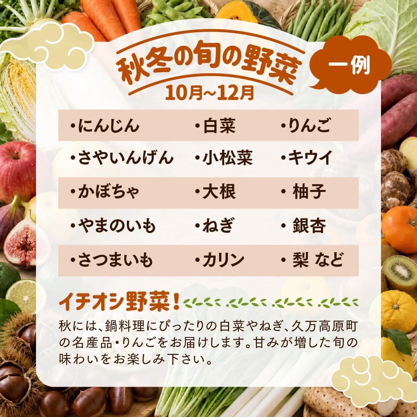 久万高原 天空の旬野菜便2kg 【道の駅みかわ厳選】 | 野菜詰め合わせ 5～6品目 新鮮野菜 定期便 愛媛県産 産地直送