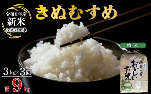 【令和8年産先行予約】【定期便 3ヶ月】 きぬむすめ 精米 3kg 計9kg