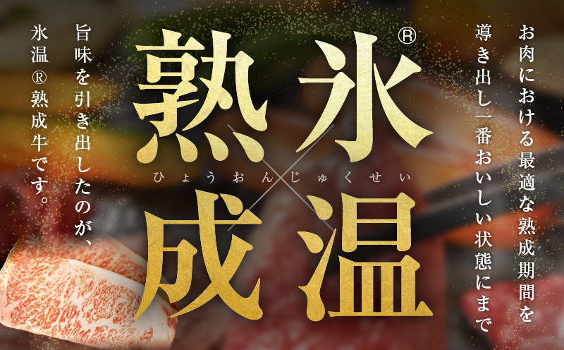 【氷温熟成×極味付け】黒毛和牛A4等級 ロースステーキ400g（2枚で合計400g） mrz0094