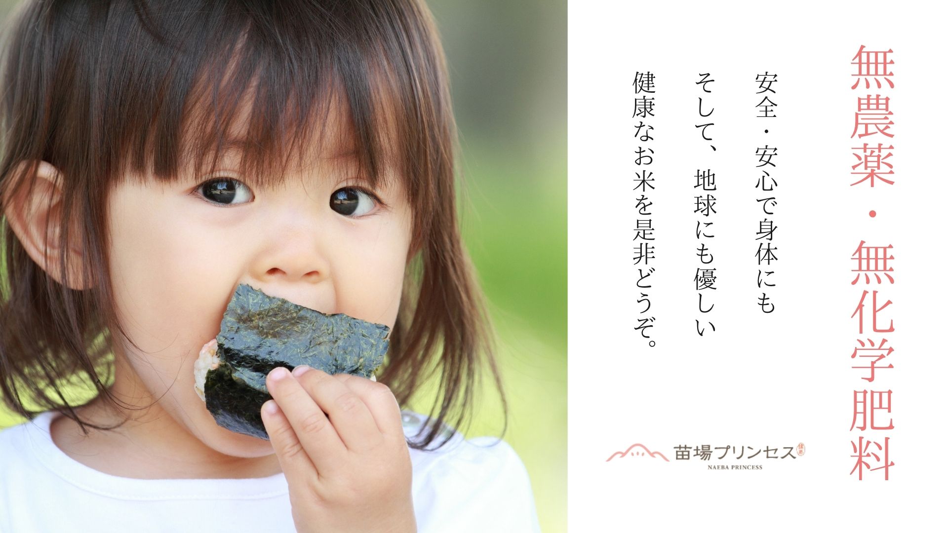 【令和8年産先行予約】【3ヶ月定期便】【有機JAS認証米】魚沼コシヒカリ 苗場プリンセス・プレミアム 精米 20kg(5kg×4袋)×3回 計60kg
