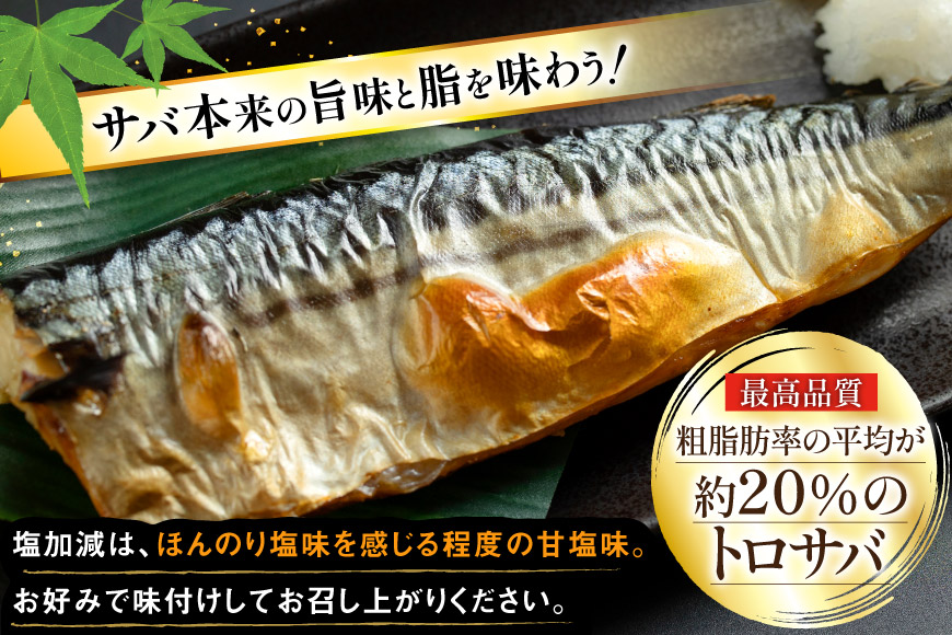 訳あり 減塩 無添加 トロ塩サバ フィレ Mサイズ 総重量 3kg (15-21枚入) [足利本店 宮城県 気仙沼市 20565687] 魚介類 魚 大容量 サバ さば 鯖 トロサバ トロさば とろサ