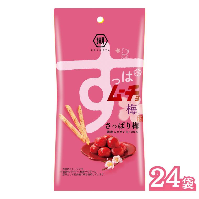 【ふるさと納税】《湖池屋》スリムバッグ スティックポテト『すっぱムーチョ さっぱり梅』　34g×24袋　 【ポテチ】