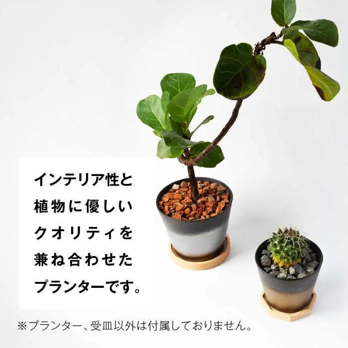 美濃焼 インテリア 有無釉鉢 （木製鉢受け付き） L・M 2セット 【山兵虎澤製陶所×ROKUROWORKS】インテリア 雑貨 植木鉢 プランター 受け皿 植物 陶器 美濃焼 日本製 おしゃれ ギフト