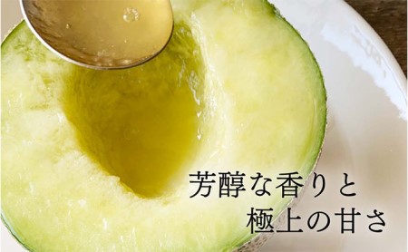 クラウンメロン【並（白等級）】中玉（1.3kg前後）1玉入り