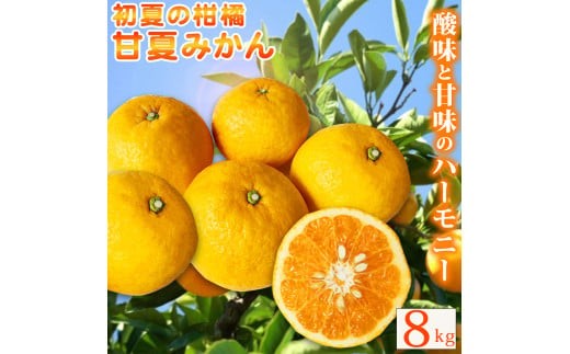 
                  紀州 有田産 すっきり爽やか 甘夏 みかん 8kg 【ご家庭用訳あり】 / 温州みかん 柑橘 フルーツ 果物 和歌山 ※2027年3月中旬〜3月下旬頃順次発送予定 ※離島への配送不可 【uot847】
                