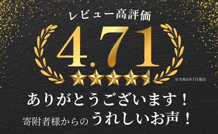 N20-22 佐賀牛しゃぶしゃぶ肉 560g（280g×2パック）【やわらかく、程よいサシの入った最高級のブランド牛】 厳選 黒毛和牛 特選黒毛和牛 極上の佐賀牛 20000円 560グラム しゃぶし