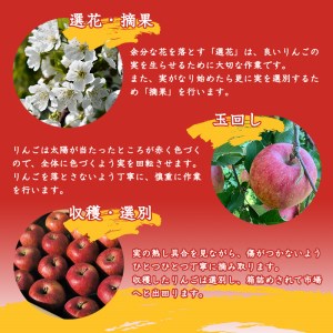 こだわり農家の 有機質肥料栽培 りんご 3kg 秀品 「サンふじ」（7～9玉） 【2024年11月頃より順次発送予定】 ／ お取り寄せ ご当地 特産 産地直送 果物 フルーツ 新鮮 季節 林檎 デザー