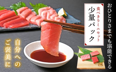 まぐろの王様！生本マグロ！まぐろ三昧おひとり様ミニセット合計150g前後（赤身・中トロ・大トロ各約50g） [e04-a122] 