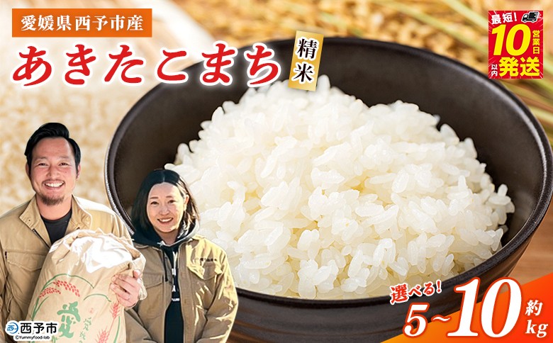 
                  ＜令和7年産 西予市産 あきたこまち 精米 約5kg/10kg＞ 選べる 内容量 お米 米 コメ こめ 白米 国産米 単一原料米 ご飯 穀物 5キロ 10キロ お弁当 おにぎり 特産品 愛媛県産 株式会社宇都宮米穀 愛媛県 西予市【常温】『最短10営業日以内に順次出荷予定』
                