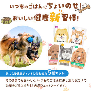 ちょいのせDeli 5種 × 各3袋 セット | ペット 愛犬 犬 ウェットフード 国産 ドッグフード 熊本県 玉名市