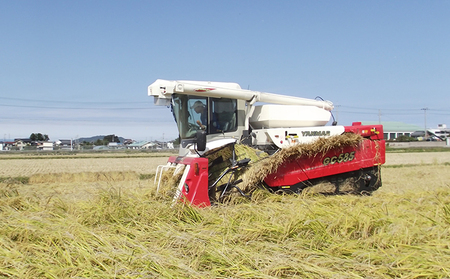 【令和5年産】甲良米 特別栽培コシヒカリ 無洗米 5kg 10ヶ月連続