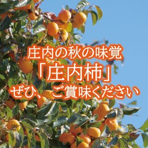 SA2612　庄内柿　約7.5kg