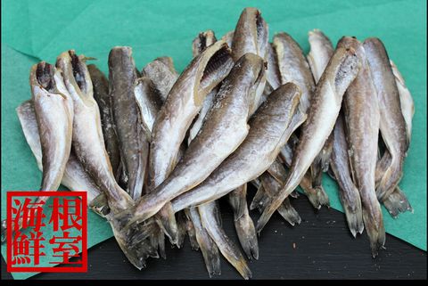 【北海道根室産】生干しこまい500g×4P A-57033
