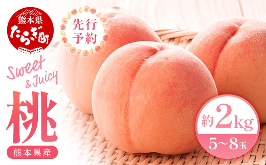 
                   【先行予約】 桃 (5～8玉) 約 2kg 熊本県産 もも 2026年6月下旬～順次発送 予約 JA 農協 桃 ピーチ 旬 熊本県 球磨 産 果物 フルーツ 甘い ジューシー  087-0656
                