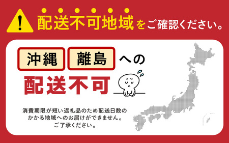  【先行予約】マルセイユメロン 2玉入 3L（1kg以上×2玉）高糖度で抜群に美味しい赤肉メロン ／ 果物 フルーツ 産地直送 ※2024年6月上旬以降発送