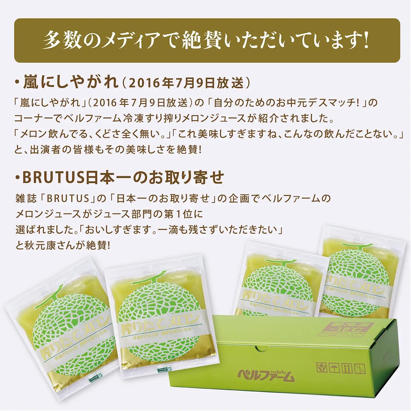 搾りたて メロン100%ジュース 100g×15P メロン