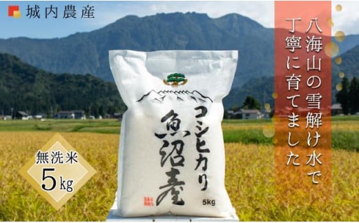 【令和6年産新米予約】南魚沼産コシヒカリ 無洗米５ｋｇ 【５割減農薬栽培米】 城内農産