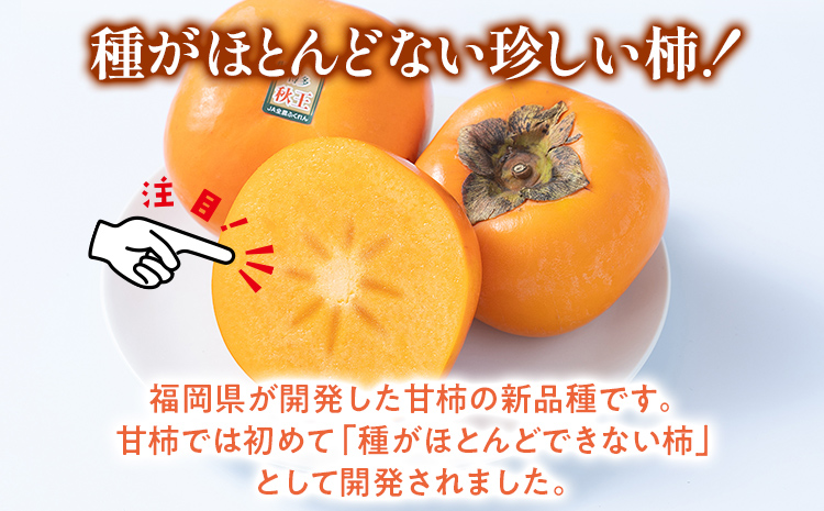 期間限定 福岡県産ブランド柿「秋王」 約3kg（8-12玉）返礼品 お取り寄せグルメ お取り寄せ グルメ カキ かき 果物 フルーツ 南国フルーツ CO012