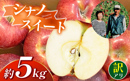 訳アリ　シナノスイート　5㎏　（14～18玉）｜ シナノスイート 林檎 りんご 長野県 松本市 果物 フルーツ ふるさと納税