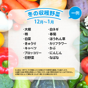 【3ヶ月定期便】 竜王町産 野菜 詰め合わせ セット 野菜セット 野菜 詰め合わせ 野菜 季節 定期 3回 野菜ソムリエ 厳選 採れたて やさい 10～14品