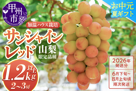 クール配送［お中元対応］山梨県限定品種 サンシャインレッド 合計1.2kg以上【2026年発送】（MS）F-111 サンシャインレッド フルーツ