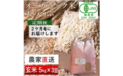 《 新米先行予約 》【 令和6年産米 】 南相馬 天のつぶ 定期便 5kg 5キロ 3回 15kg 15キロ JAS 有機米 根本有機農園 玄米 新米 コメ ブランド米 福島 福島県産 低温貯蔵庫 送料無料 旨い ふるさと納税 オンライン申請【3005101】