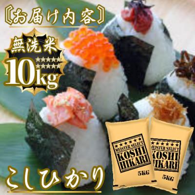 ふるさと納税 佐賀県 令和7年産こしひかり 無洗米10kg(5kg×2袋)　41ANAD044(佐賀県) |  | 03