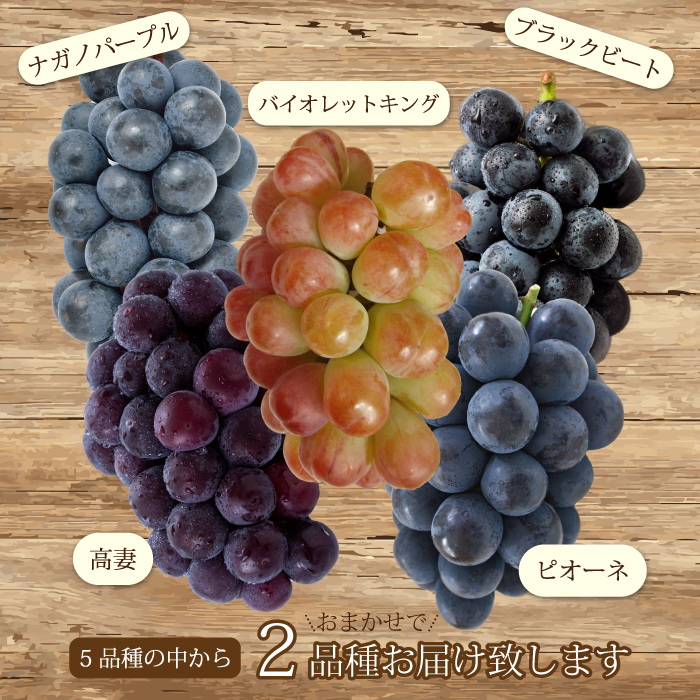 【先行受付】農園おまかせぶどうセット2房(約1.5kg)2025年9月下旬発送予定 果物 くだもの フルーツ ブドウ 葡萄 202007