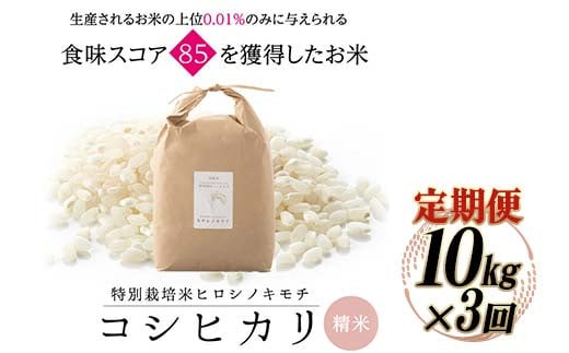 【3回定期】特別栽培米 コシヒカリ ヒロシノキモチ 精米 10kg 総計30kg ブランド米 銘柄米 国産 米 お米 日本米 ギフト 贈り物 備蓄 防災 食品 陽咲玲 はるざれ F6T-556