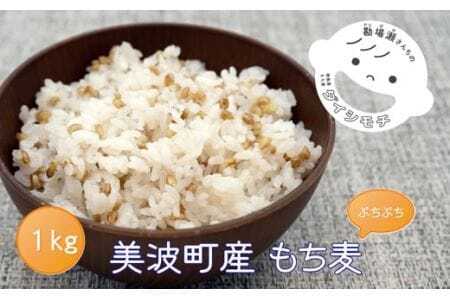 美波町産「もち麦」と伊座利産「あらめ入佃煮」のセット（もち麦1kg＋あらめ入佃煮6本）