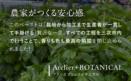 【先行予約】【2026年6月中旬頃から順次発送】 バジルペースト ２個セット ＜数量限定100セット＞ 摘みたて バジル フレッシュ 生ペースト 三次市 / Atelier＋BOTANICAL[APC