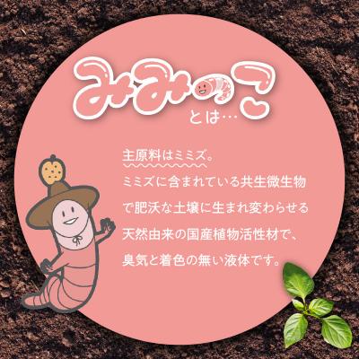 ふるさと納税 大分市 植物活性材　みみっこmini+みみっこタスカルファイターF(原液)2種類セット_R14156 |  | 01