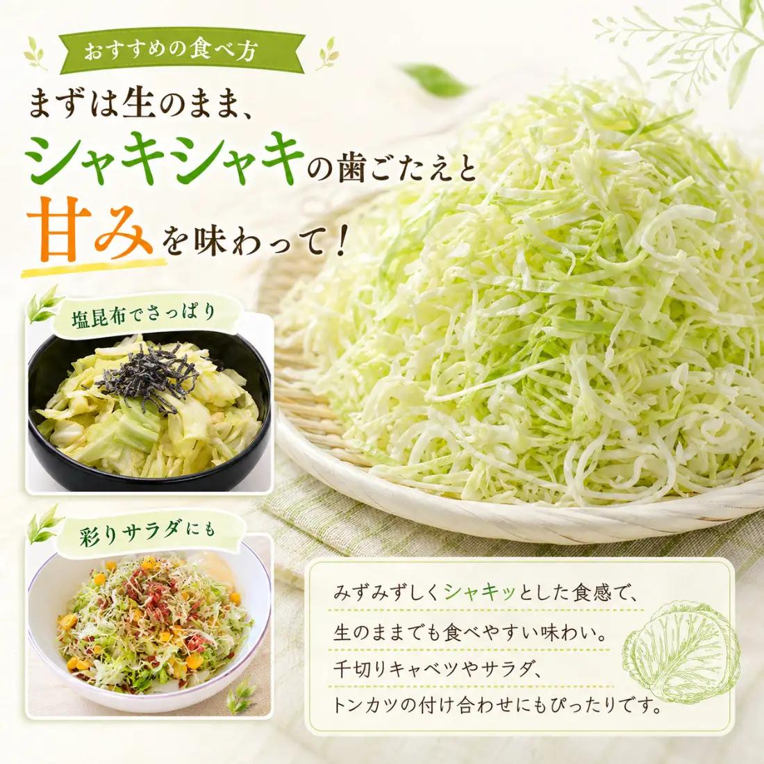 【2026年出荷分先行予約】富士山キャベツ　3kg