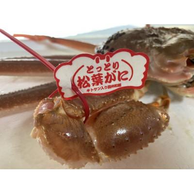ふるさと納税 智頭町 【さかなや新鮮組】鳥取県産 ブランドタグ付き 活松葉ガニ(大)800g以上 1枚 漁港直送 |  | 01
