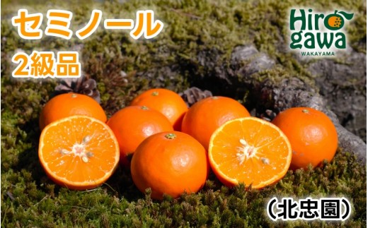 セミノール 5kg 2級品 / 和歌山 有田 広川 みかん ミカン 柑橘 果物 くだもの ギフト フルーツ 果実 ※2027年4月上旬〜4月下旬頃に順次発送予定【hkt016-c-5A】