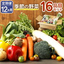 【ふるさと納税】【定期便12回】 季節の野菜 16品目 セット 定期便 12ヶ月連続 野菜 やさい 詰め合わせ 旬の野菜 ランダム おまかせ 冷蔵 国産 春 旬 春野菜 送料無料