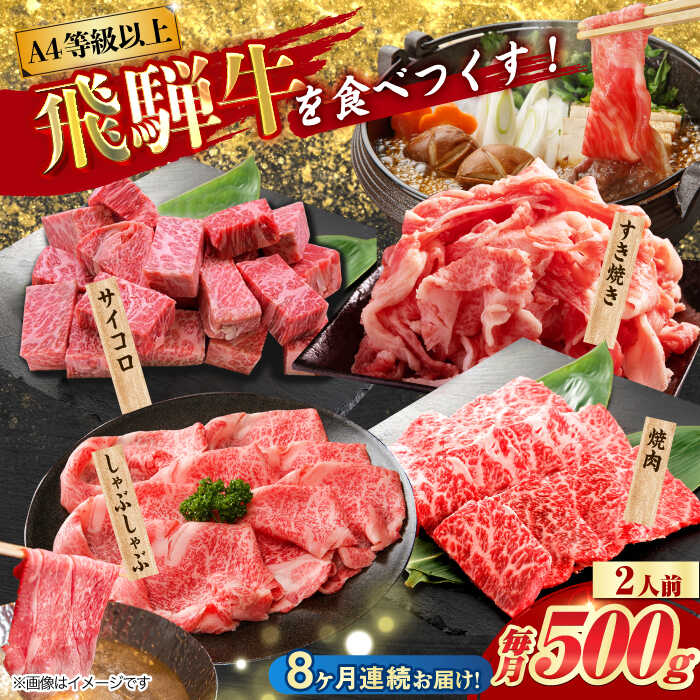 【ふるさと納税】【8回定期便】 飛騨牛を食べつくす！ 飛騨牛 プレミアム 定期便 2人前 ( しゃぶしゃぶ × すき焼き × サイコロステーキ × 焼肉 ) 各500g A4等級以上 多治見市 / 渡辺精肉店 和牛 ブランド牛 牛肉[TAZ047]