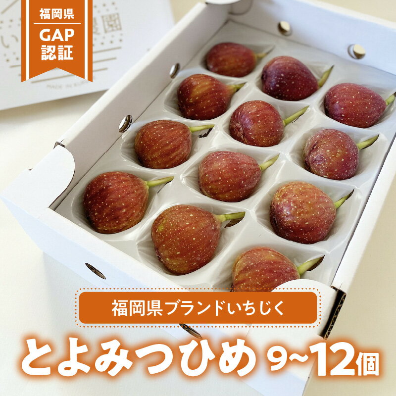 【ふるさと納税】いちじく とよみつひめ 700g～850g 9個～12個 果物 フルーツ 福岡県GAP認証 福岡県産 久留米市 お取り寄せ グルメ 冷蔵 国産 九州 福岡 久留米 果実 糖度17度以上 田主丸 生 皮ごと食べられる 送料無料