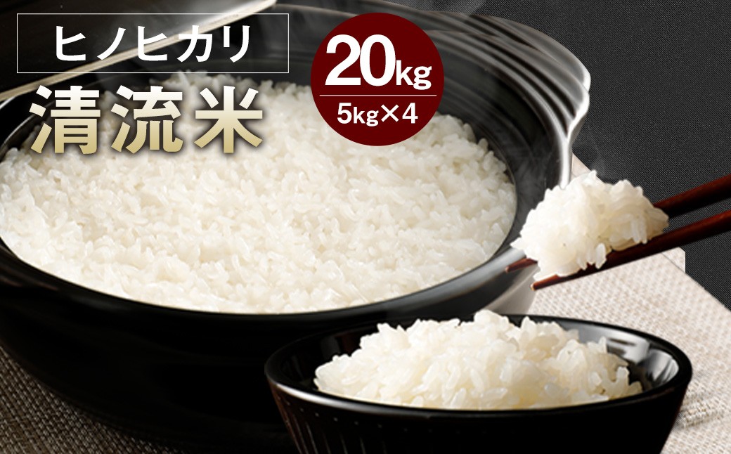 
                  【 令和8年産 】 相良村産 清流川辺川米 （ ヒノヒカリ ） 約5kg × 4袋 計約20kg 米 お米 精米 白米 ご飯 ブランド米 国産 【 2026年10月下旬~2027年10月下旬迄発送予定 】 
                