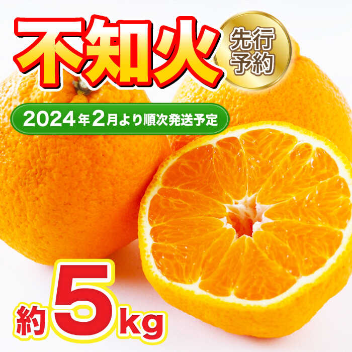 【ふるさと納税】【2月以降順次発送】不知火 約5kg 12〜20玉[FBT052]