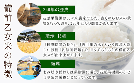 米 こめ コメ 備前乙女米 玄米 4kg 石原果樹園《30日以内に出荷予定（土日祝除く）》岡山県 浅口市 ご飯 お米 国産 岡山県産 送料無料