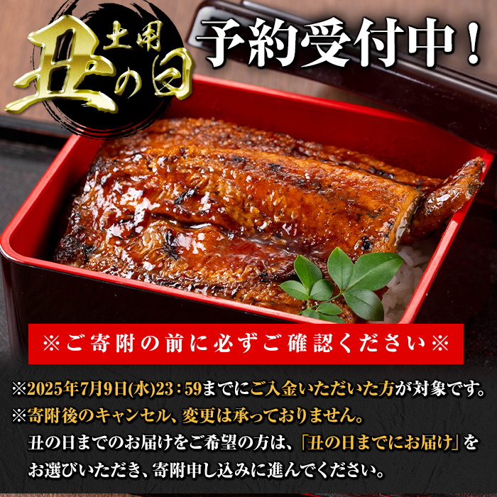 ＜丑の日先行予約受付中！＞鹿児島県産うなぎきざみ蒲焼セット (200g×5袋) 鰻 かばやき 冷凍【西日本養鰻】B176-U