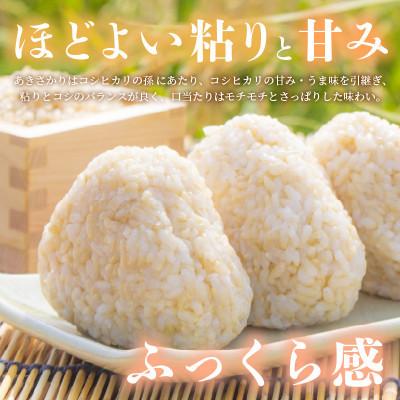 ふるさと納税 越前町 令和7年産　あきさかり(玄米)　3kg |  | 01