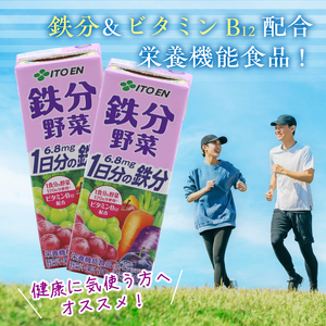 伊藤園 鉄分野菜 紙パック 200ml 48本 「1 食分の野菜」と「1 日分の鉄分」が果実で摂れるにんじんミックスジュース　023-G-IT014