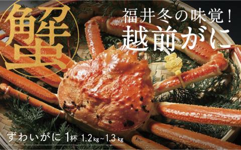 【産地直送】福井冬の味覚！越前がに 1杯 1.2～1.3kg 【2023年度】