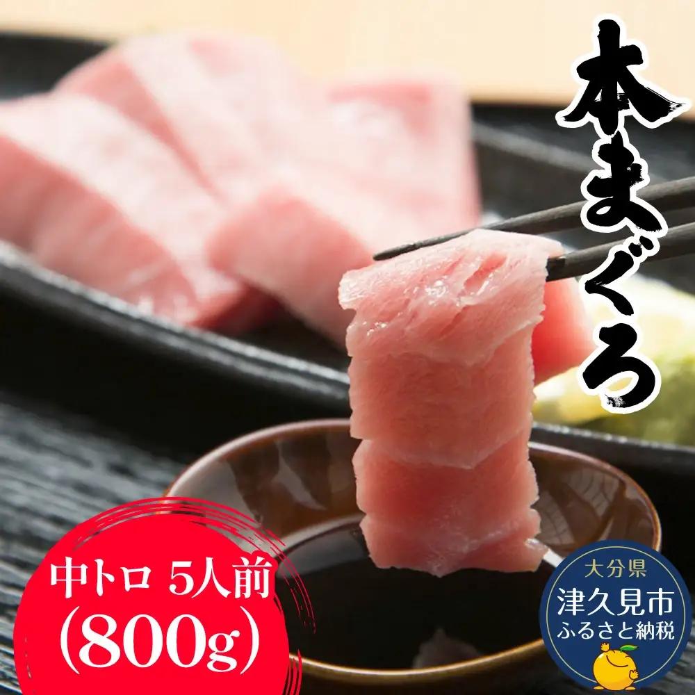 本マグロ 刺身用 中トロ 5人前 (800g) | 本マグロ
