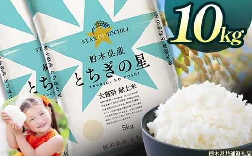 栃木県産とちぎの星 10kg | 2025年 2025年米 令和7年米 秋 白米 ごはん ご飯 小分け 人気 おいしい 旨い おにぎり おむすび お弁当 限定 栃木県共通返礼品 栃木県 下野市 送料無料