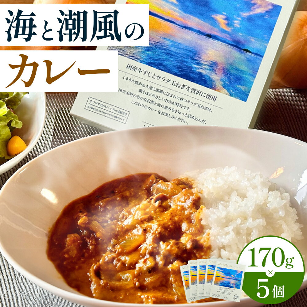 【ふるさと納税】海と潮風のカレー 850g (170g × 5個) ゆいやわす《30日以内に出荷予定(土日祝除く)》熊本県 葦北郡 津奈木町 カレー 簡単調理 つなぎFARM サラダ玉ねぎ使用