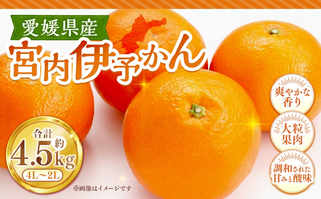 
                  宮内伊予かん 約4.5kg みかん ミカン くだもの 果物 フルーツ 柑橘 柑橘系 柑橘類 果実 果汁 果肉 国産  【 2027年1月下旬～3月上旬発送予定 】 ( 1122 )
                